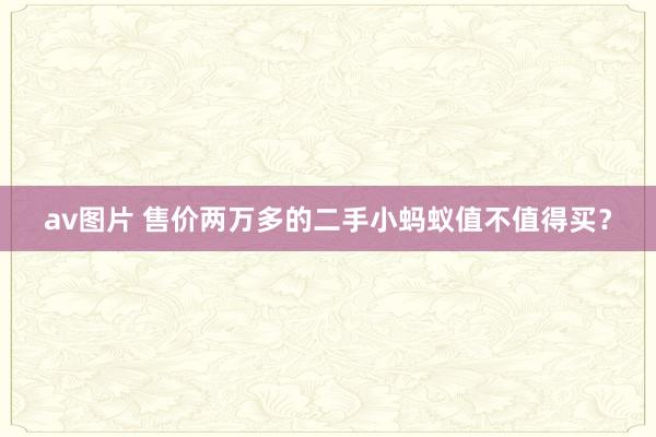 av图片 售价两万多的二手小蚂蚁值不值得买？