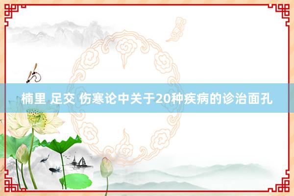 楠里 足交 伤寒论中关于20种疾病的诊治面孔