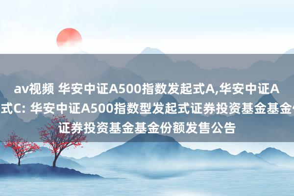 av视频 华安中证A500指数发起式A,华安中证A500指数发起式C: 华安中证A500指数型发起式证券投资基金基金份额发售公告