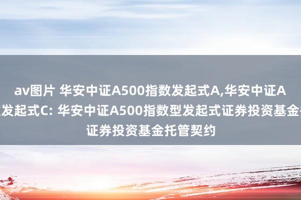 av图片 华安中证A500指数发起式A,华安中证A500指数发起式C: 华安中证A500指数型发起式证券投资基金托管契约