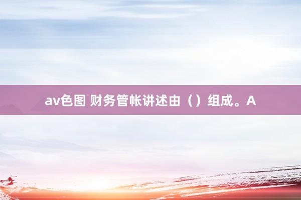 av色图 财务管帐讲述由（）组成。A