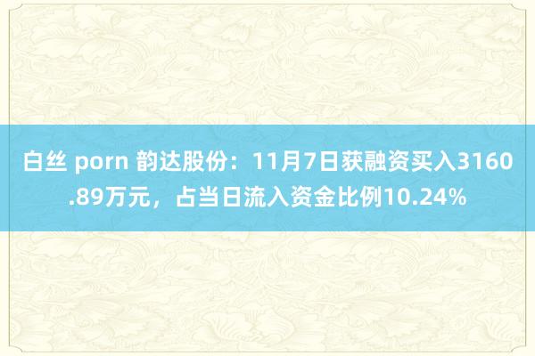 白丝 porn 韵达股份：11月7日获融资买入3160.89万元，占当日流入资金比例10.24%