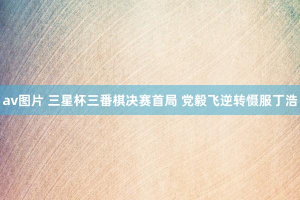 av图片 三星杯三番棋决赛首局 党毅飞逆转慑服丁浩