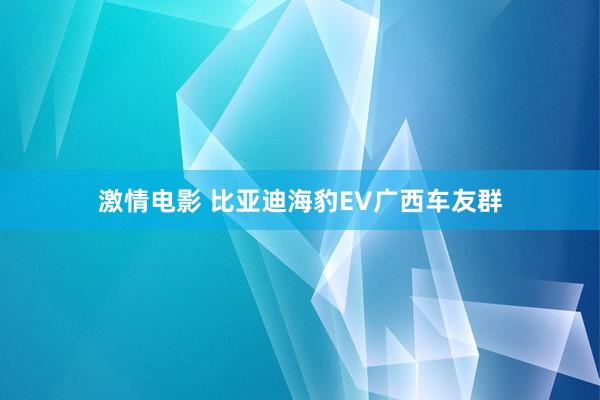 激情电影 比亚迪海豹EV广西车友群