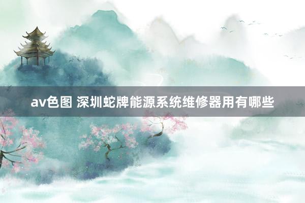 av色图 深圳蛇牌能源系统维修器用有哪些