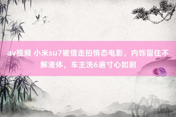 av视频 小米su7被借走拍情态电影，内饰留住不解液体，车主洗6遍寸心如割