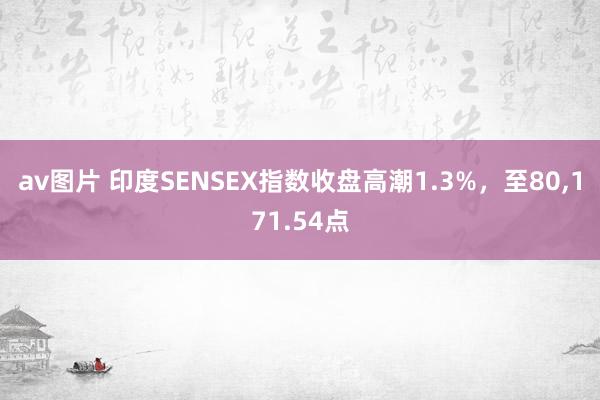 av图片 印度SENSEX指数收盘高潮1.3%，至80，171.54点