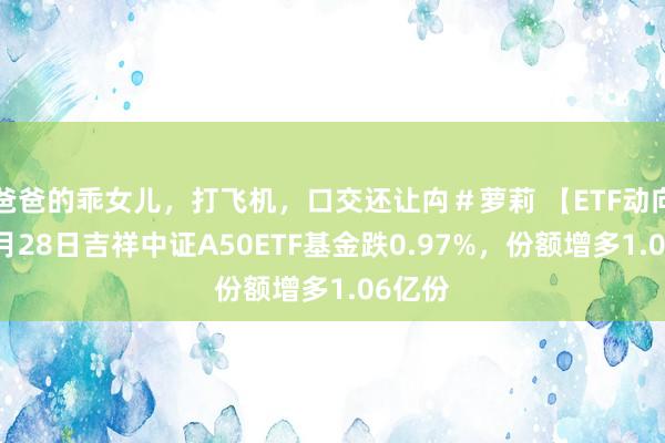 爸爸的乖女儿，打飞机，口交还让禸＃萝莉 【ETF动向】11月28日吉祥中证A50ETF基金跌0.97%，份额增多1.06亿份