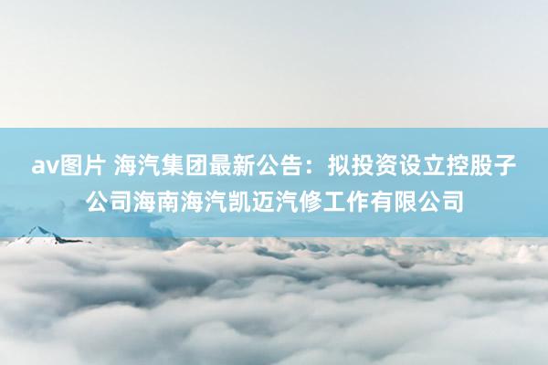 av图片 海汽集团最新公告：拟投资设立控股子公司海南海汽凯迈汽修工作有限公司
