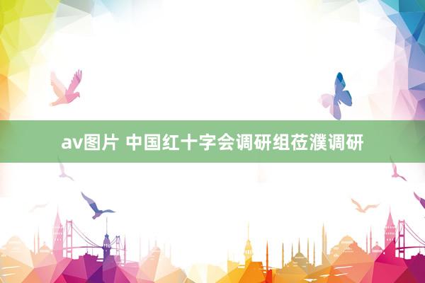 av图片 中国红十字会调研组莅濮调研