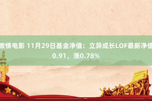 激情电影 11月29日基金净值：立异成长LOF最新净值0.91，涨0.78%
