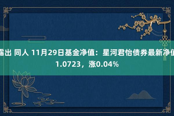 露出 同人 11月29日基金净值：星河君怡债券最新净值1.0723，涨0.04%