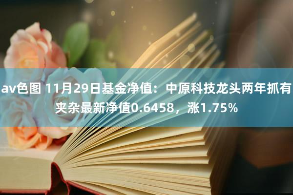 av色图 11月29日基金净值：中原科技龙头两年抓有夹杂最新净值0.6458，涨1.75%