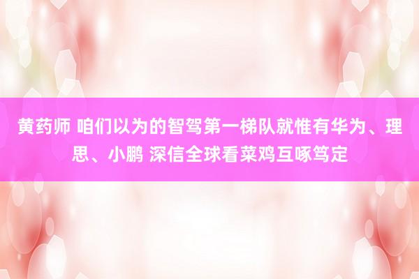 黄药师 咱们以为的智驾第一梯队就惟有华为、理思、小鹏 深信全球看菜鸡互啄笃定