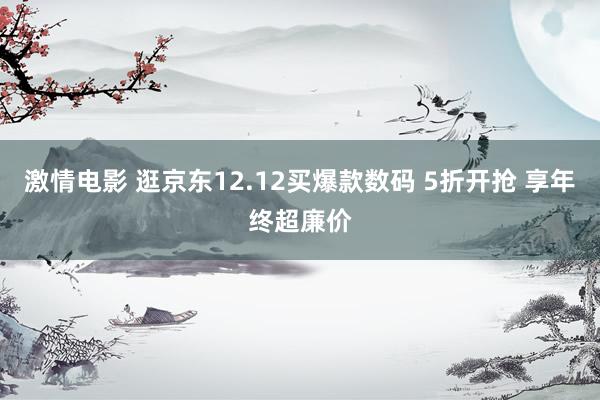 激情电影 逛京东12.12买爆款数码 5折开抢 享年终超廉价