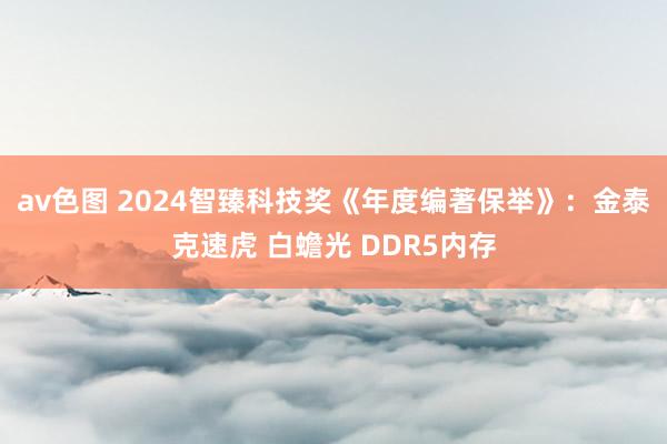 av色图 2024智臻科技奖《年度编著保举》：金泰克速虎 白蟾光 DDR5内存