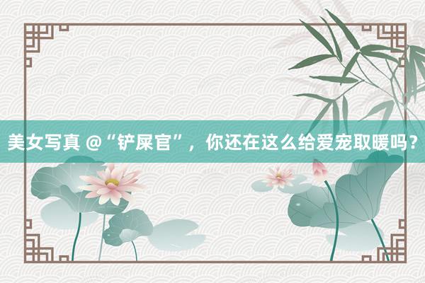 美女写真 @“铲屎官”，你还在这么给爱宠取暖吗？