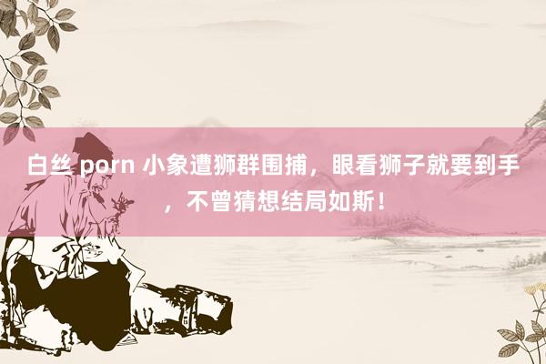 白丝 porn 小象遭狮群围捕，眼看狮子就要到手，不曾猜想结局如斯！