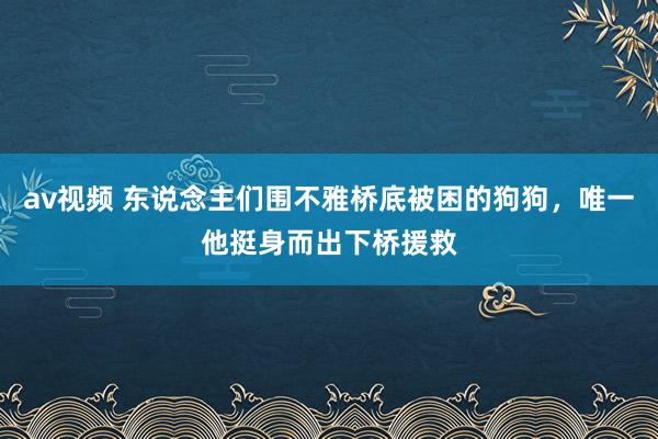 av视频 东说念主们围不雅桥底被困的狗狗，唯一他挺身而出下桥援救