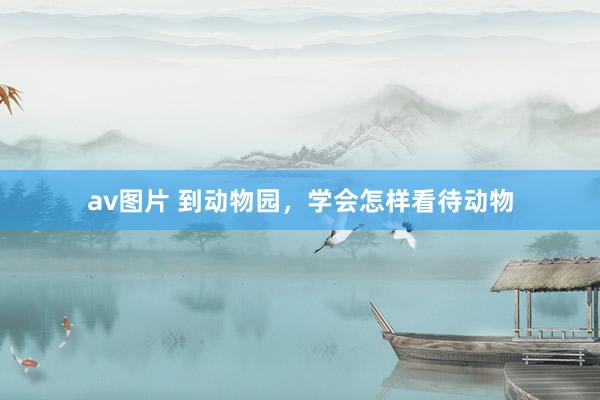 av图片 到动物园，学会怎样看待动物
