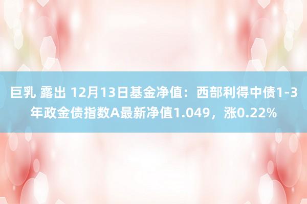 巨乳 露出 12月13日基金净值：西部利得中债1-3年政金债指数A最新净值1.049，涨0.22%
