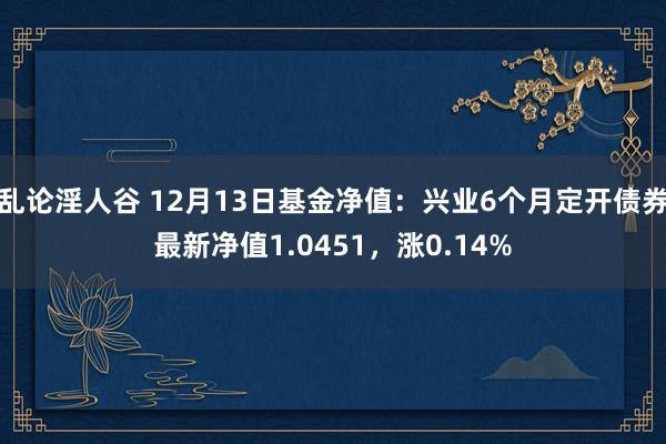 乱论淫人谷 12月13日基金净值：兴业6个月定开债券最新净值1.0451，涨0.14%