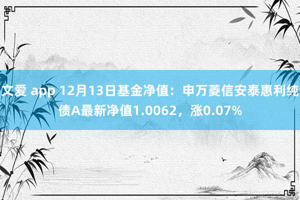 文爱 app 12月13日基金净值：申万菱信安泰惠利纯债A最新净值1.0062，涨0.07%