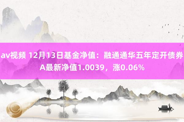 av视频 12月13日基金净值：融通通华五年定开债券A最新净值1.0039，涨0.06%