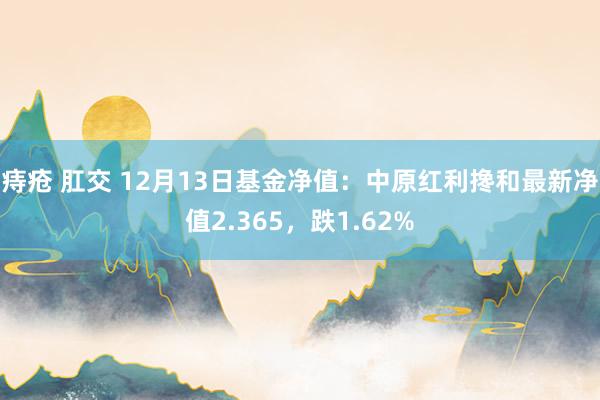 痔疮 肛交 12月13日基金净值：中原红利搀和最新净值2.365，跌1.62%