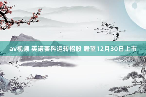 av视频 英诺赛科运转招股 瞻望12月30日上市