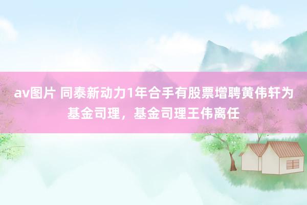 av图片 同泰新动力1年合手有股票增聘黄伟轩为基金司理，基金司理王伟离任