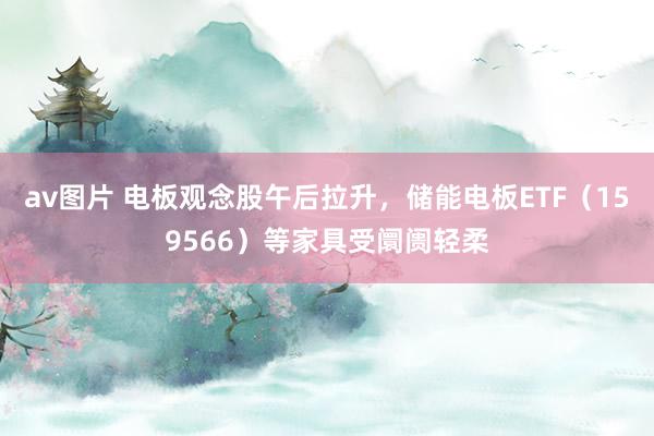av图片 电板观念股午后拉升，储能电板ETF（159566）等家具受阛阓轻柔