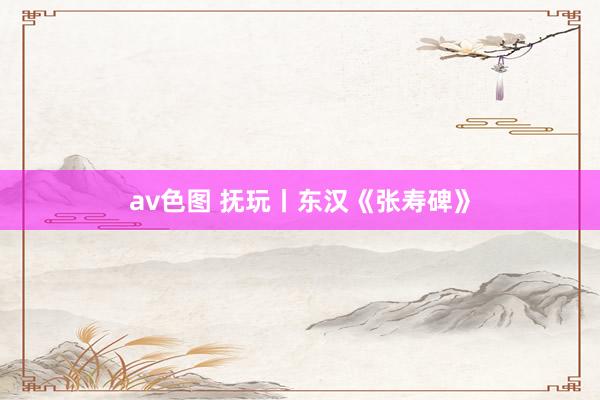 av色图 抚玩丨东汉《张寿碑》
