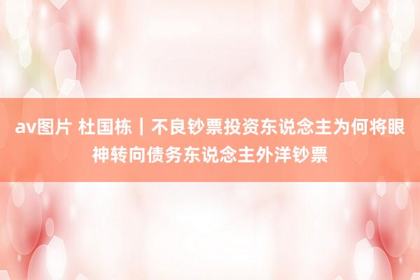av图片 杜国栋｜不良钞票投资东说念主为何将眼神转向债务东说念主外洋钞票