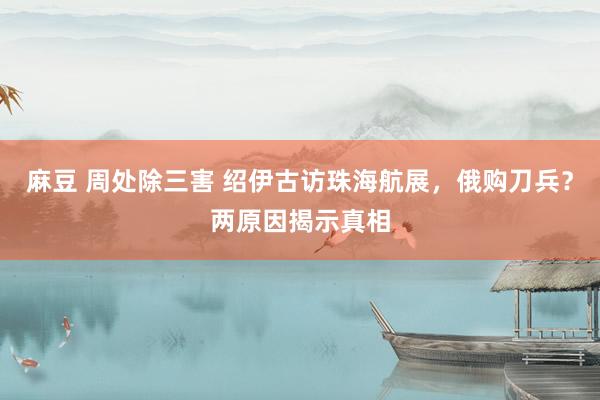 麻豆 周处除三害 绍伊古访珠海航展，俄购刀兵？两原因揭示真相