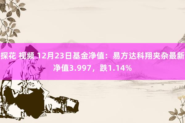 探花 视频 12月23日基金净值：易方达科翔夹杂最新净值3.997，跌1.14%