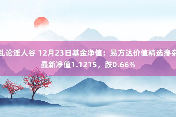 乱论淫人谷 12月23日基金净值：易方达价值精选搀杂最新净值1.1215，跌0.66%