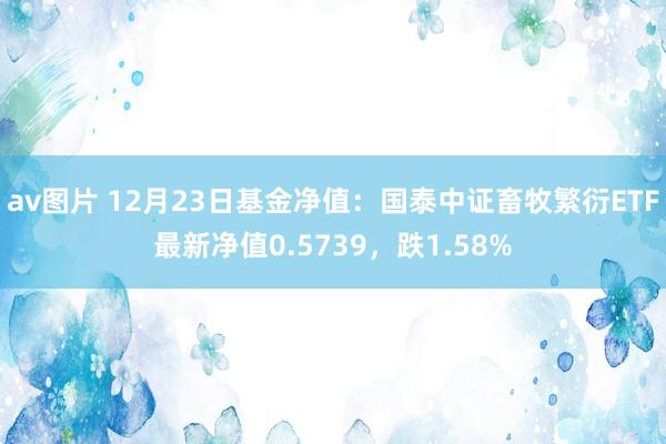 av图片 12月23日基金净值：国泰中证畜牧繁衍ETF最新净值0.5739，跌1.58%