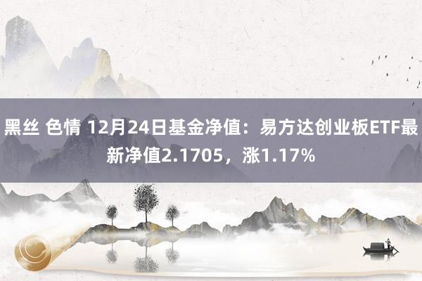 黑丝 色情 12月24日基金净值：易方达创业板ETF最新净值2.1705，涨1.17%
