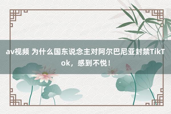 av视频 为什么国东说念主对阿尔巴尼亚封禁TikTok，感到不悦！