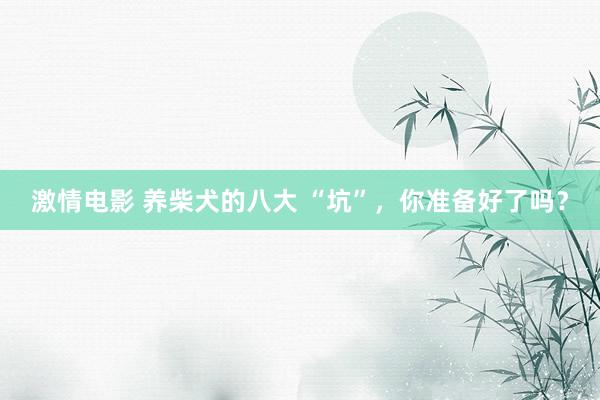 激情电影 养柴犬的八大 “坑”，你准备好了吗？