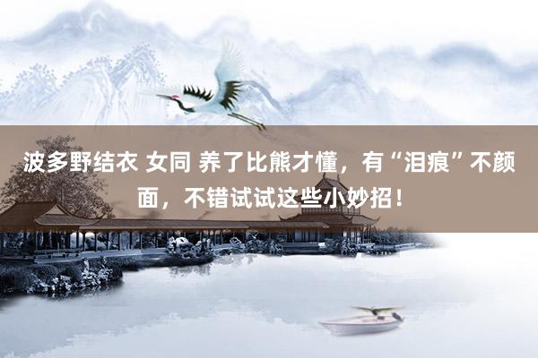 波多野结衣 女同 养了比熊才懂，有“泪痕”不颜面，不错试试这些小妙招！