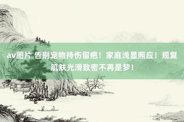 av图片 告别宠物持伤留疤！家庭浅显照应！规复肌肤光滑致密不再是梦！
