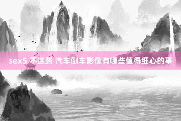 sex5 不迷路 汽车倒车影像有哪些值得细心的事