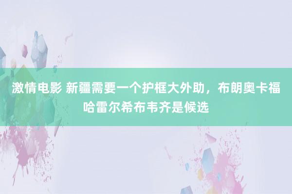 激情电影 新疆需要一个护框大外助，布朗奥卡福哈雷尔希布韦齐是候选