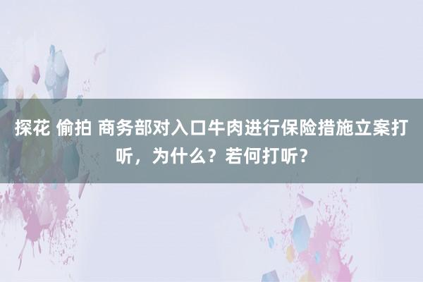 探花 偷拍 商务部对入口牛肉进行保险措施立案打听，为什么？若何打听？
