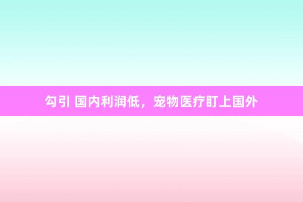 勾引 国内利润低，宠物医疗盯上国外