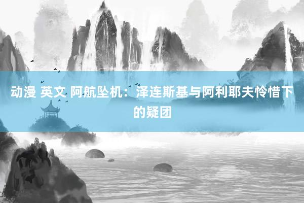 动漫 英文 阿航坠机：泽连斯基与阿利耶夫怜惜下的疑团