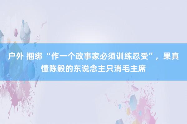 户外 捆绑 “作一个政事家必须训练忍受”，果真懂陈毅的东说念主只消毛主席