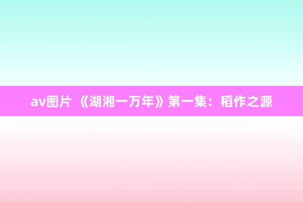 av图片 《湖湘一万年》第一集：稻作之源